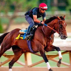 Breeders' Cup: Flightline set to light up Keeneland in Classic contest as US sta ...