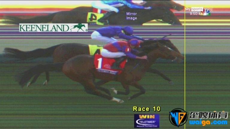 The photo finish confirms Victoria Road (near) beat Silver Knott by a nose