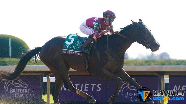 Tyler Gaffalione rides Wonder Wheel to victory in the Breeders&#39; Cup Juvenile Fillies race