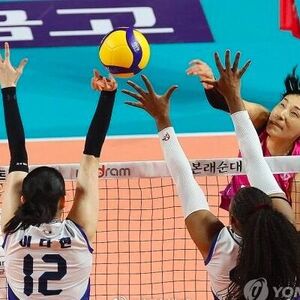 韩女排联赛现代建设夺第3冠 金软景连续2届获亚军